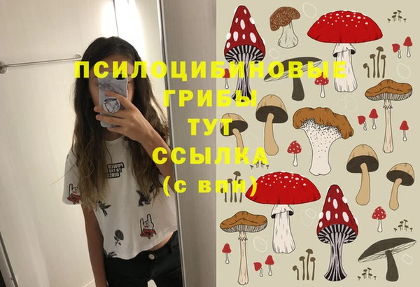 герыч Дмитриев