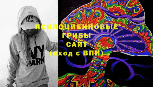 герыч Дмитриев